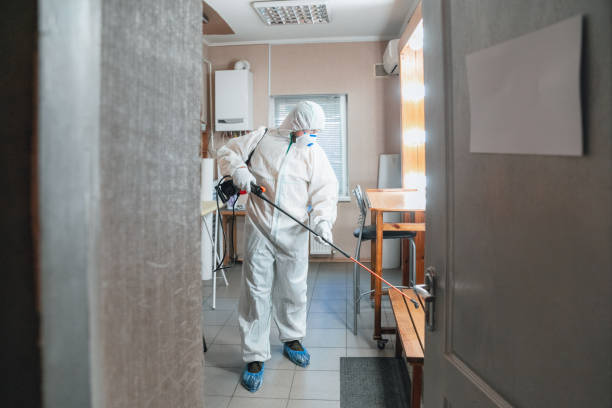 Best HVAC Mold Inspection and Cleaning  in Magnolia Springs, AL
