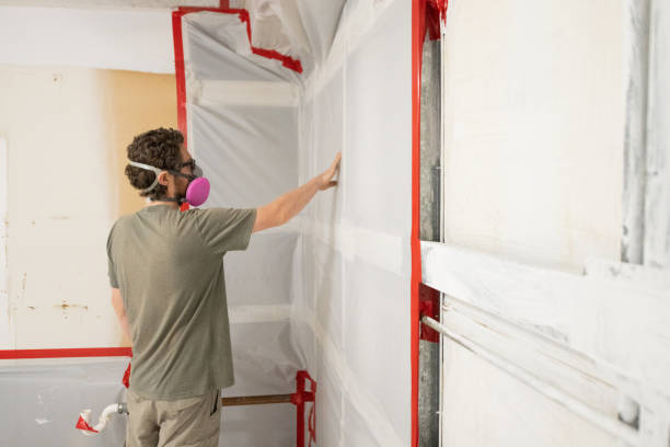 Best Black Mold Removal  in Magnolia Springs, AL