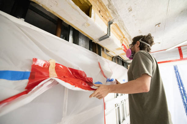Best Environmental Consulting for Mold Prevention  in Magnolia Springs, AL