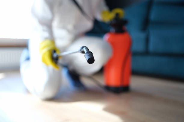 Best Dehumidification Services  in Magnolia Springs, AL